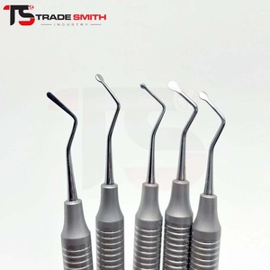 ชุดเครื่องมือขูดหินปูนเกรซี่คิวเร็ตต์ TSI Wholesale Dental ทำจากสแตนเลส สำหรับผู้จัดจำหน่ายอุปกรณ์ทันตกรรม คลินิก และผู้ซื้อระดับโลก - Product Image 5