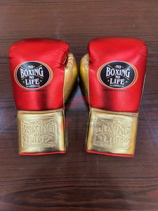 Modelo de Venta Caliente, Set de Boxeo Rojo y God No Boxing Noo Life, Fabricado Directamente en Fábrica, Kit Profesional de Boxeo MMA Pro. - Product Image 2
