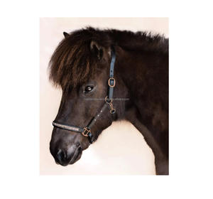 Cabestro de caballo de cuero inglés clásico de alta calidad con hebilla de latón negro sobre diseño elegante de cuero indio - Product Image 3