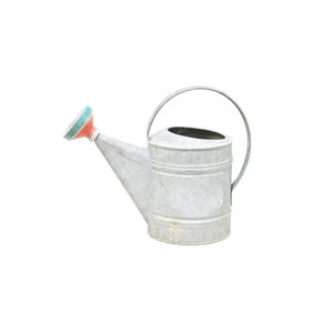 Arrosoir vintage en acier galvanisé vieilli, pot à eau en métal pour plantes d'intérieur et d'extérieur, style antique, décoration intérieure, jardinage - Product Image 1