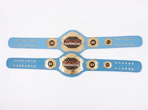Ceintures de titre de championnat personnalisées pour enfants/adultes/femmes Accessoires d'équipement de fitness personnalisés pour gymnases Clubs Annuel - Product Image 5