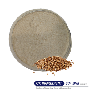Polvo de Trigo Sarraceno de Primera Calidad, Garantía del Mejor Proveedor, Halal, OEM, B2B, Gran Venta, Sin Gluten, Alimento Saludable, Sabor a Grano Tostado - Product Image 2