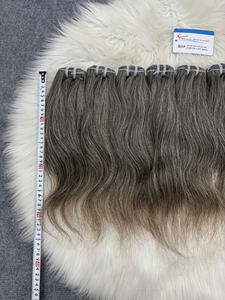 Extensions de cheveux gris de qualité supérieure, provenant d'un seul donneur, 8 pouces, lisses, cheveux vietnamiens bruts, SDD, cuticules alignées, cheveux gris naturels - Product Image 2