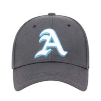 Casquette Snapback 6 Panneaux Ajustable avec Logo d'Équipe Brodé Personnalisé OEM, Visière Courbée, Chapeau de Baseball Sportif, Motif Léopard Sublimé Personnalisé