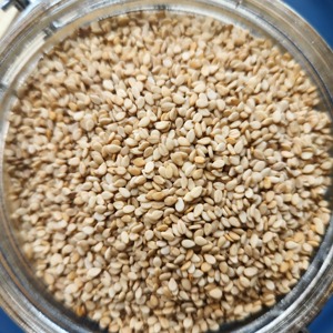 Graines de sésame blanches naturelles décortiquées, préparées pour les acheteurs en gros, avec une taille uniforme, finition propre, emballage d'exportation et livraison fiable - Product Image 6