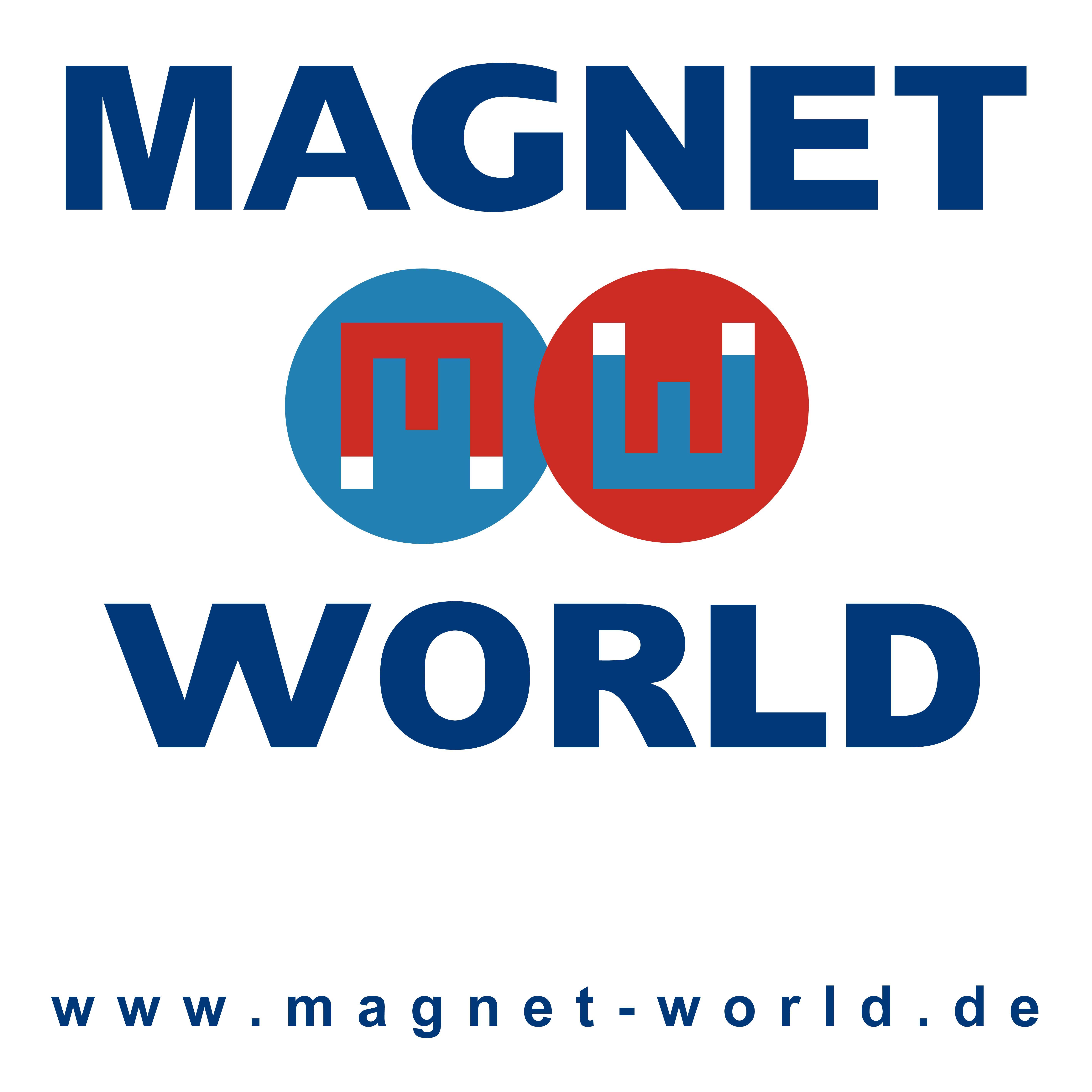 Magnetworld logo