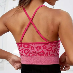 Best Quality Fitness Sport Bra Pakistan Made New Design Gym Wear Sports Women Bra Quick Dry Sports Bra - Product Image 5