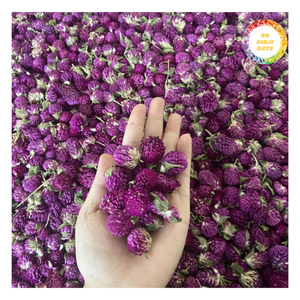 Fleurs d'amarante globe séchées naturelles et écologiques, aux couleurs vives, idéales pour les décorations faites à la main, les projets de bricolage et pour le thé - Product Image 5