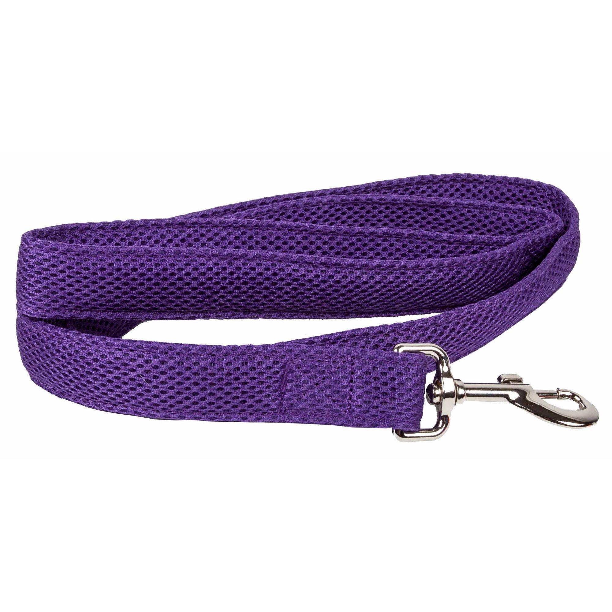 Purple Color