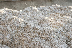 Graines de coton blanches décortiquées du Brésil, produit en vrac - Product Image 6