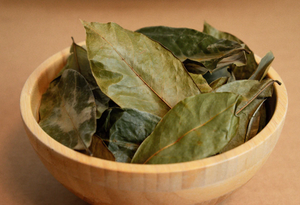Hojas de Graviola Antioxidantes de Alta Calidad, Materia Prima para Té Herbal, Exportación al por Mayor, Fabricante de Vietnam - Product Image 2