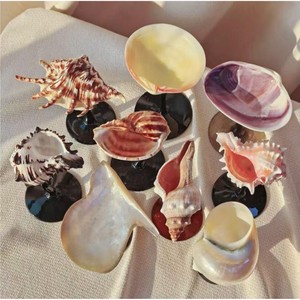 Un verre à vin attrayant en forme de coquillage marin et en verre, un excellent cadeau pour les amateurs de vin. - Product Image 4