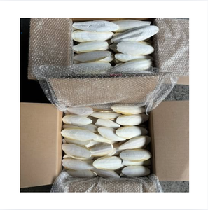 Seiche séchée entière de qualité supérieure, riche en protéines, produit de la mer emballé en sachet, Vietnam, durée de conservation de 2 ans - Product Image 1