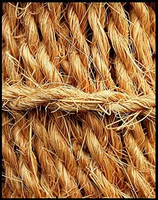 Shrekha Creations Fil de coco 100% biologique de qualité supérieure, fabriqué sur mesure, certifié, en fibre de coco, pour la revente, fabriqué au Madhya