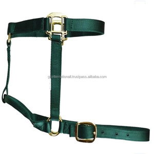 Personalized Western Saddle Style Horse <b>Halter</b> Strong Nylon Material Customized Color Design High Quality Custom Horse <b>halter</b> - Product Image 6