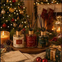 Diffuseur de parfum en roseau AIKUN de haute qualité, style Noël, personnalisable avec logo OEM/ODM, pour coffret cadeau de luxe pour la maison