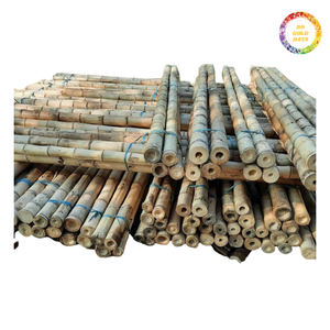 Bâtons de bambou pour structures extérieures, aménagement paysager et projets créatifs, disponibles en différentes tailles - Product Image 5