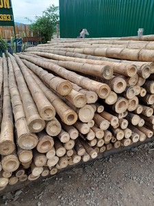 Pôles en bambou naturel solide de qualité supérieure, provenance du Vietnam, pour les projets de treillis de plantes agricoles et d'aménagement paysager de jardin - Product Image 2