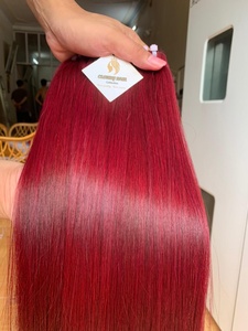 Extensiones de Cabello Liso Color Rojo Borgoña, 100% Cabello Humano, Sedoso y Liso, Doble Trama, Puntas Gruesas, Cabello Virgen Vietnamita - Product Image 2