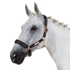 Collar de Cabeza para Caballo Profesional, Estilo Inglés, de Alta Calidad, para Entrenamiento en Establos y Uso en Exteriores - Product Image 2