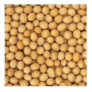 Soja Seca de Calidad Pura, Granos de Soja, Soja Orgánica Disponible en Grandes Cantidades a Precio Económico - Product Image 2