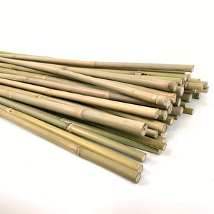 Vietnamese producer bamboo <b>cane</b> stick high quality wholesale natural pole for landscaping & crafts - Product Image 1