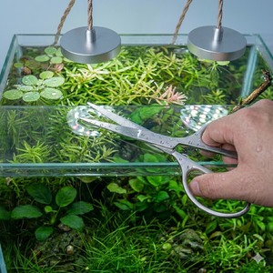 Ciseaux aquatiques en acier inoxydable de 6,5 pouces, outil de taille pour plantes d'aquarium, directement de l'usine - Product Image 1