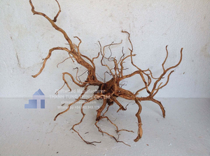 Producto Popular: Decoración Ecológica para Acuario en Forma de Árbol, de Acero Inoxidable, de Alta Calidad y Diseño Único - Product Image 5