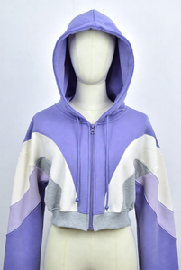 Wholesale High Quality Regular <b>Top</b> Hoodie Fashion Outdoors Stylish Full Sleeve Length <b>Women</b> Hoodie Custom Color <b>Fleece</b> Windproof - Product Image 4