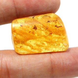 Cabochon lisse en ambre naturel de la Baltique avec insectes inclus, pierre précieuse en ambre en vrac - Product Image 1