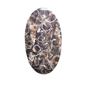 Jaspe TURTELLA 100% Natural de Alta Calidad, Cabujón de Piedra Preciosa Suelta para Sanación, Jaspe al por Mayor para Joyería - Product Image 1