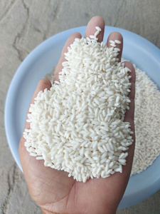 Arroz Glutinoso de Grano Corto y Textura Dura, Arroz Roto Seco, Empaque Personalizado para Venta al por Mayor, Fabricante Vietnamita Jasmine - Product Image 3