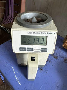 Pimienta Negra Vietnamita Pinhead de Alta Calidad, Binh Phuoc, 50 kg, 2 Años de Duración, Gran Cantidad, Venta al por Mayor, Calidad de Exportación, Ms. Sophie - Product Image 2