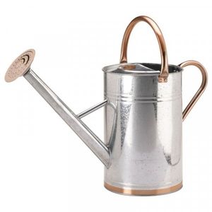 Arrosoir classique en métal pour l'entretien des plantes, utilisation intérieure et extérieure, construction durable, long bec pour une arrosage précis. - Product Image 1