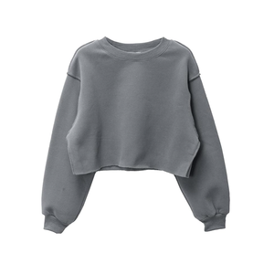 เสื้อฮู้ดดี้ผู้หญิงสั่งทำขายส่ง ผ้าฝ้ายเวลัวร์ 100% ระบายอากาศได้ดี สไตล์สตรีทแวร์ สำหรับฤดูหนาว - Product Image 5