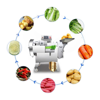 Coupeur de carotte électrique commercial pour des usines de transformation de légumes et des cuisines de restaurant avec le rendement élevé