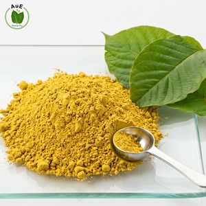 <b>Best</b> Selling Purity Organic Thai Herbal 80% MIT Extract Powder Solvent Extracted Pharmaceutical Grade Natural Planting - Product Image 6