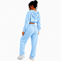 Ensemble sweat-shirt court à capuche gris pour femme grande taille, en molleton avec fermeture éclair, brodé, style streetwear décontracté, couleur unie, automne