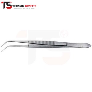 Pince ergonomique manuelle en acier inoxydable TSI pour le maintien du coton dentaire, outil pour l'examen et le traitement dentaires professionnels - Product Image 1