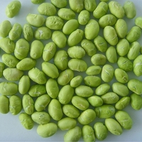Usine au Vietnam Qualité supérieure Prix compétitif Noyau congelé Edamame Approvisionnement en vrac