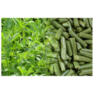 Pellets de Alfalfa de Alta Calidad, Grado Alimenticio, Empaque a Granel para Alimentación de Ganado, Caballos, Peces y Otros Animales, Alfalfa Timothy - Product Image 5