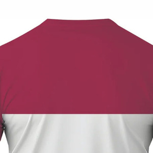 Camiseta Deportiva Ecológica para Hombre, Bordada, de Secado Rápido, Transpirable, para Entrenamiento, Fitness, Deportes, Ropa Deportiva Ligera - Product Image 6