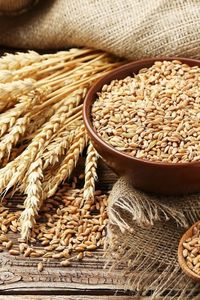 Blé à grains longs biologique pur de haute qualité, adapté à la production de farine, à la pâtisserie et à la fabrication alimentaire - Product Image 5
