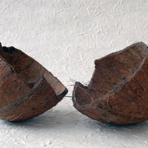 Coques de noix de coco brutes concassées durables d'Inde pour la production de carbone et de charbon industriel de haute qualité, qualité A, super sèches - Product Image 5