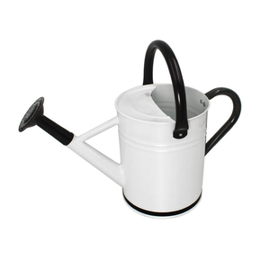 Nueva Llegada: Regadera Metálica Verde de Estilo Indio Clásico, Venta al por Mayor de Artículos de Jardín para Uso en Exteriores - Product Image 1