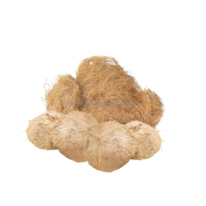 Fibra de coco de tamaño personalizado del fabricante de Vietnam excelente para hilado de cáscara natural buen precio encendido instantáneo - Product Image 3
