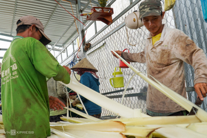 EXPÉDITION LE JOUR MÊME Fibre de banane écologique, sûre et propre 2026 Matière végétale pure Idéal pour la fabrication artisanale et la fabrication de papier Prix direct - Product Image 5