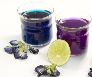 Fleur de pois papillon séchée de haute qualité, ingrédient pour boisson, fleur de thé bleu entière, ingrédient pour bubble tea - Product Image 2