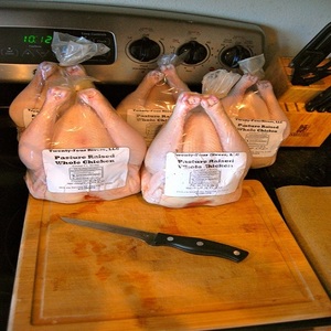 Nouveau stock, prix de gros imbattable, viande de poulet congelée, fournisseur fiable de produits avicoles en vrac pour l'exportation - Product Image 1