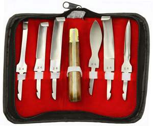 Kit Profesional Surtechs de 10 Piezas de Acero Inoxidable para Herrador de Caballos: Herramientas para Cascos, Cuchillo para Pezuñas, Pulidor de Cascos y Herraduras - Product Image 4